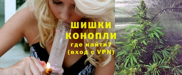 ГАЛЛЮЦИНОГЕННЫЕ ГРИБЫ Покачи