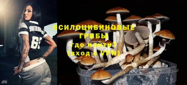 ГАЛЛЮЦИНОГЕННЫЕ ГРИБЫ Покачи