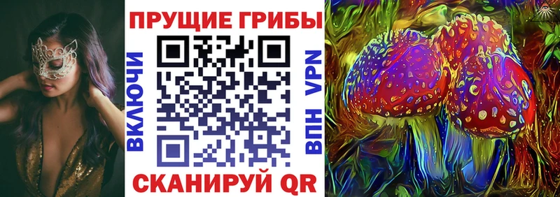 блэк спрут ССЫЛКА Бугуруслан Галлюциногенные грибы мухоморы